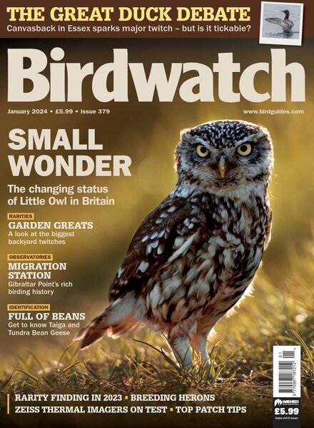 Birdwatch UK – January 2024